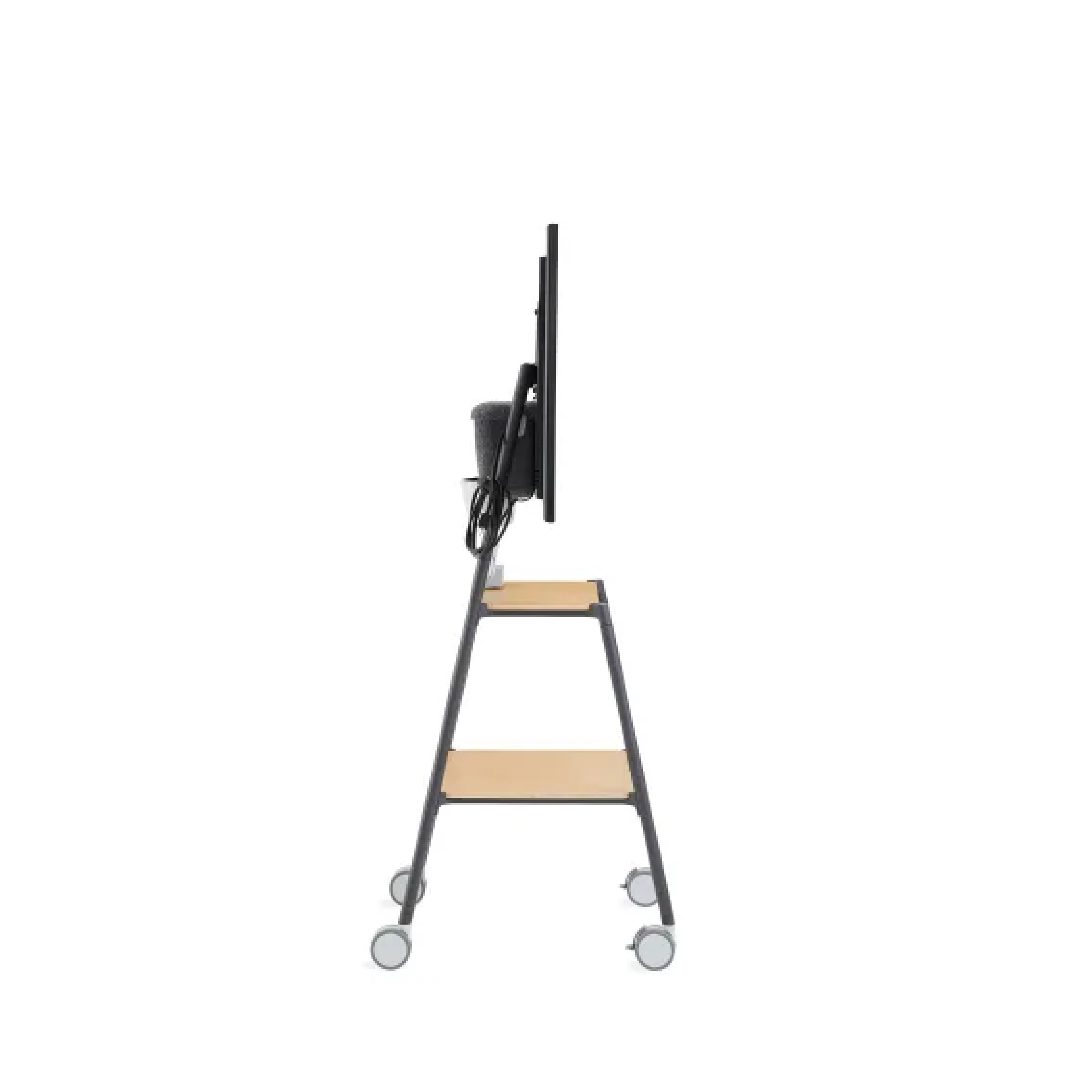 Flex Media Cart